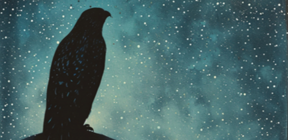 宮沢賢治コンサートのご案内　🌠〜よだかの星〜🌠（音楽と語りで綴る宮沢賢治の世界）